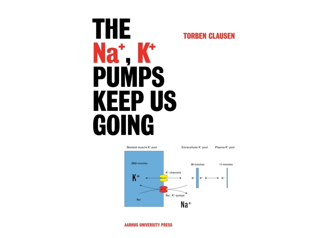The Na+, K+ Pumps Keep Us Going | Torben Clausen