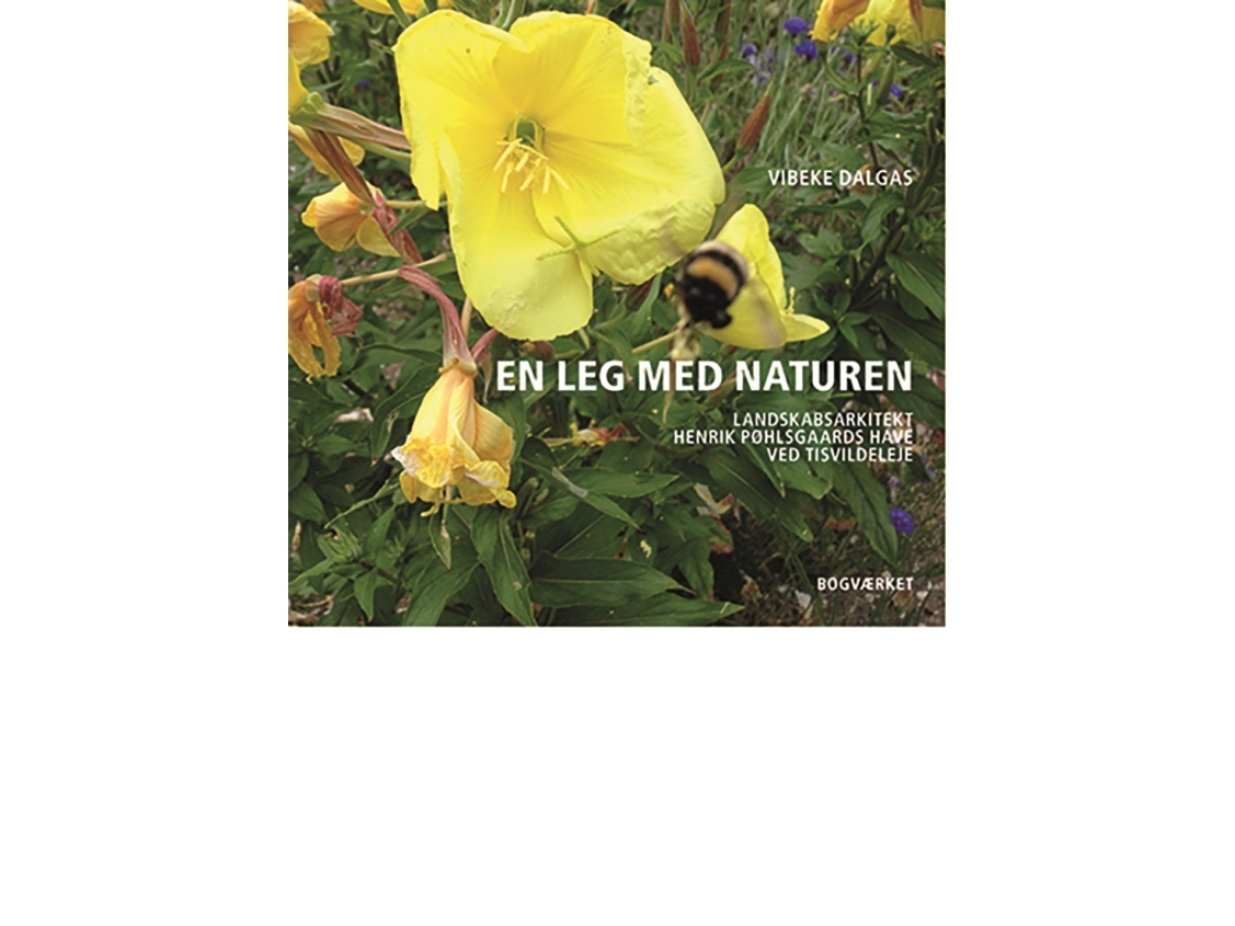 Ein Spiel Mit Der Natur | Vibeke Dalgas | Sprache: Dänish