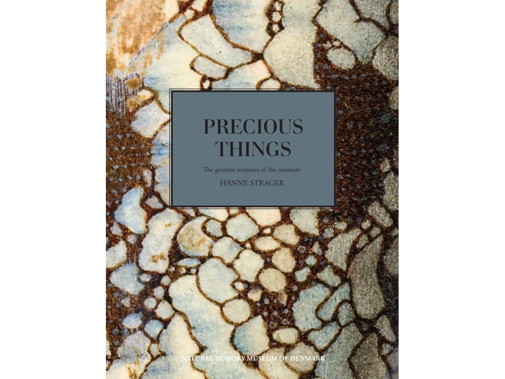 Precious Things | Hanne Strager