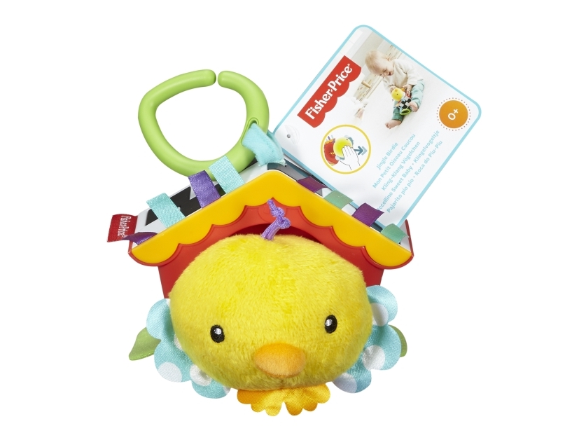 Fisher-Price Everything Baby Dfp95, Mit Ton, Mehrfarbig