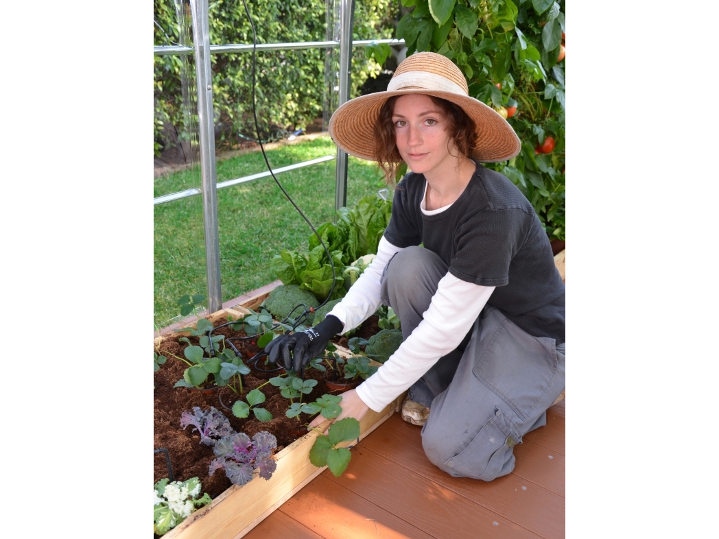 Palram - Canopia Droppbevattningssats för växthus (540-070) | Trädgården - Växthus - Växthus | GameStuff