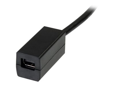 Startech.Com 15Cm Displayport Auf Mini Displayport Kabel - 4K X 2K Uhd Video - Displayport Stecker Auf Mini Displayport Buchse Adapter Kabel - Dp Auf