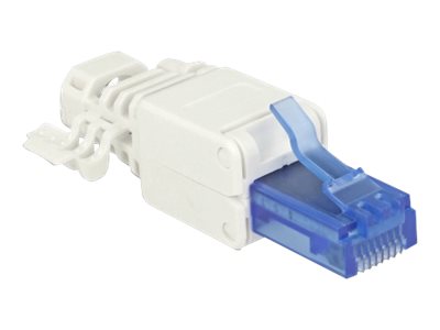 Delock - Netværk-Konnektor - Rj-45 (Han) - Utp - Cat 6A - (Antal Pr. Pakke: 2)