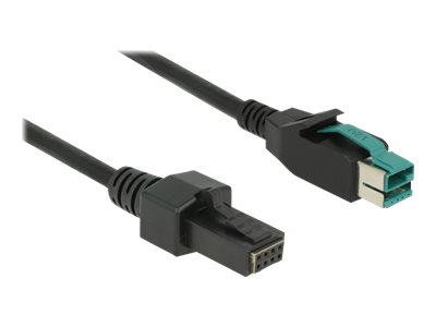 Delock - Forstærket Usb Kabel - Usb Pluspower (12 V) (Han) Til 8-Pins (2X4) Poweredusb Remote Side (Han) - 12 V - 1 M - Sort