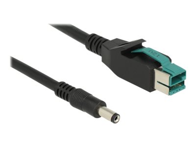 Delock - Forstærket Usb Kabel - Usb Pluspower (12 V) (Han) Til Dc Jackstik 2,1/5,5 Mm (Han) - 12 V - 1 M - Sort
