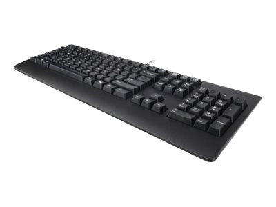 Lenovo Preferred Pro Ii, Volle Größe (100%), Kabelgebunden, Usb, Qwerty, Schwarz