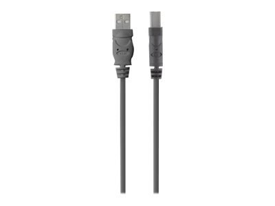 Belkin Premium Printer Cable - Usb-Kabel - Usb Type B (Han) Til Usb (Han) - Usb 2.0 - 3 M - Formet
