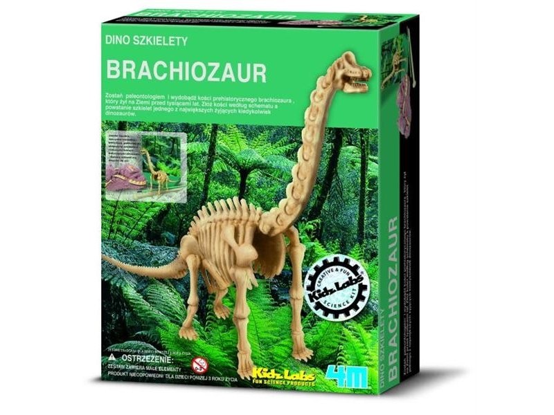 4M Kinderlabor: Skelett Eines Brachiosaurus