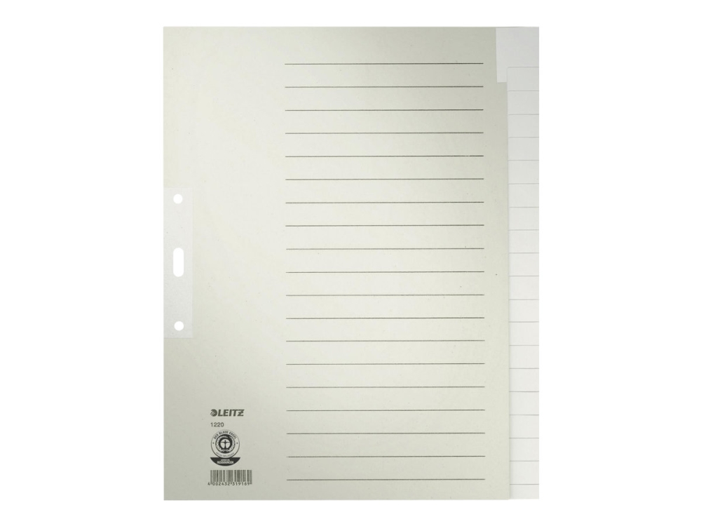 Leitz Register Blanko, Papier, Leerer Registerindex, Papier, Grau, 100 G/M², 240 Mm, 300 Mm