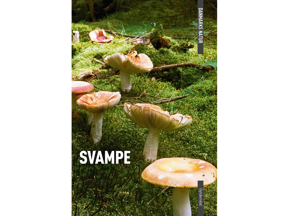 Danmarks Natur Svampe | Torben Gang Rasmussen