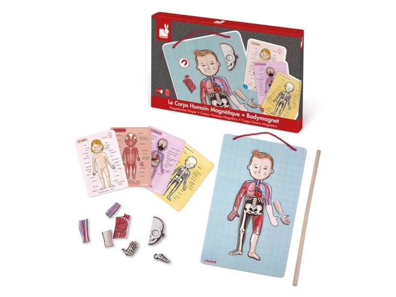 JANOD J05491, 7 vuosi/vuosia, Monivärinen