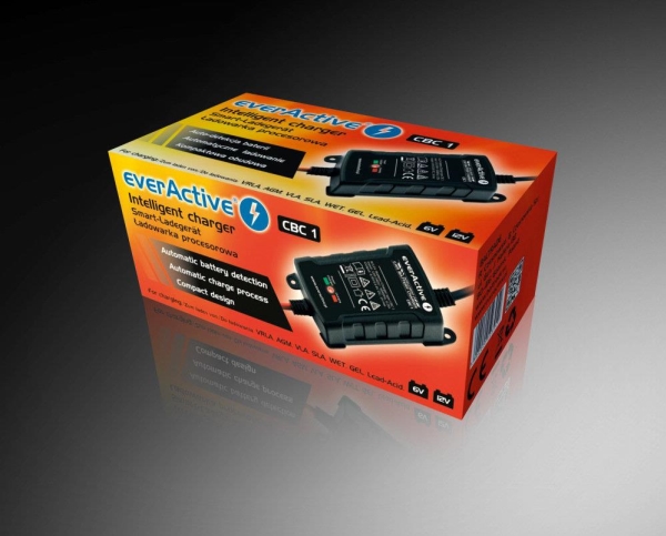 Everactive Cbc-1, 6-12 V, Typ C (Euro-Stecker), Schwarz