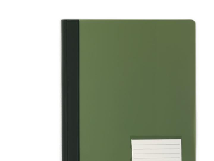 Durable Schnellhefter Transluzent, Grün, Pvc, A4, 1 Stück(E)
