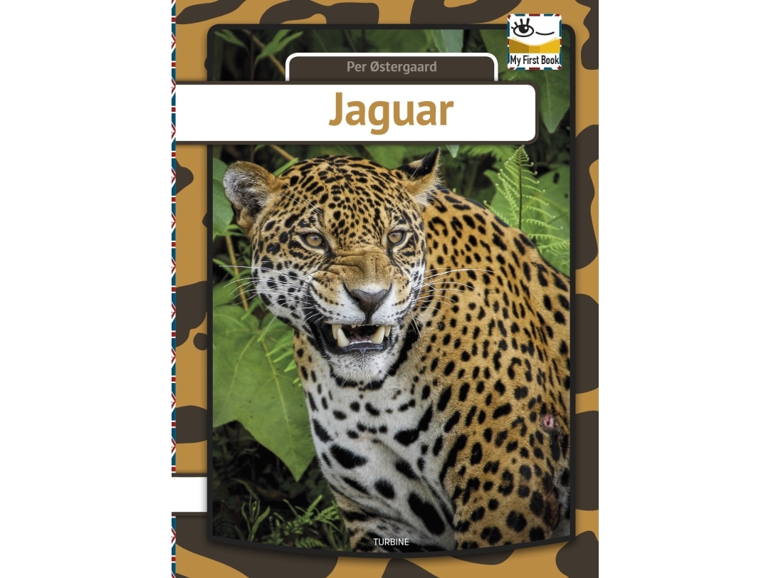Støt bibliotekar Reorganisere Jaguar - engelsk | Per Østergaard
