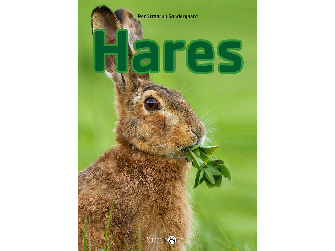 Hares | Per Straarup Søndergaard