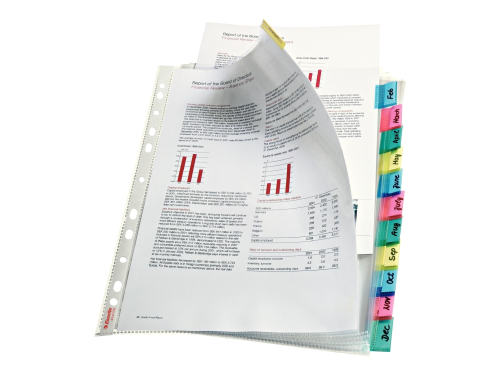 Esselte - Deler - 12 dele - for A4 Maxi (242 x 297 mm) - kapacitet: 30 ark - med faneblade - klar glas