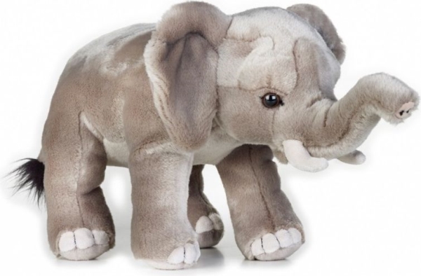 Dante Plüschtier National Geographic Afrikanischer Elefant Grau 25 Cm (003-70717)
