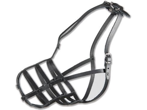 Dino Genietetes Leder Hundehalsband - 14 (Owczarek Duzy)