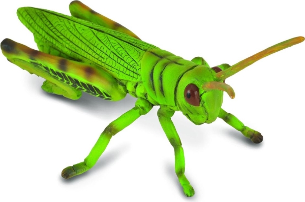 Collecta Grasshopper Figurine (004-88352)