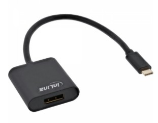 Inline 64102B, 0,2 M, Usb Typ-C, Displayport, Stecker, Buchse, Gold