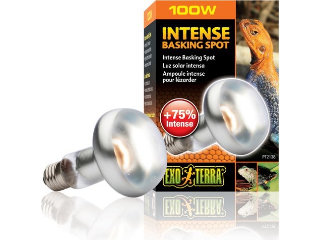 HAGEN EXOTERRA GLÖDLAMPA INTENSIV SPOT 100W | Sällskapsdjur - Gnagare - Mat | GameStuff