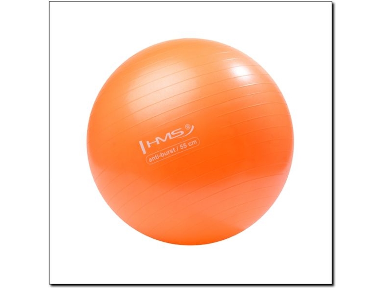 Hms Anti-Burst 55Cm Übungsball Orange (Yb02)