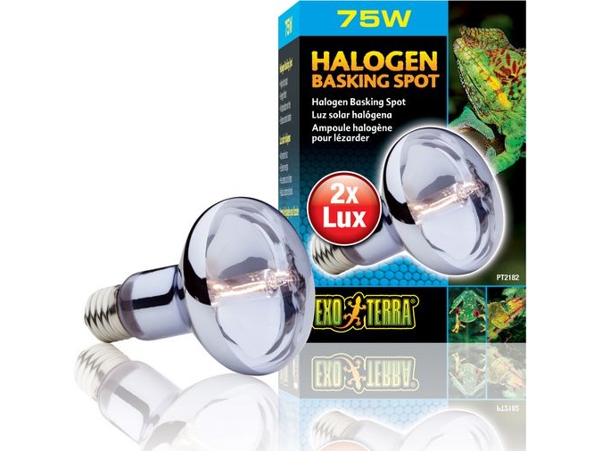 Hagen Exoterra Halogen Spot 75W Glühbirne