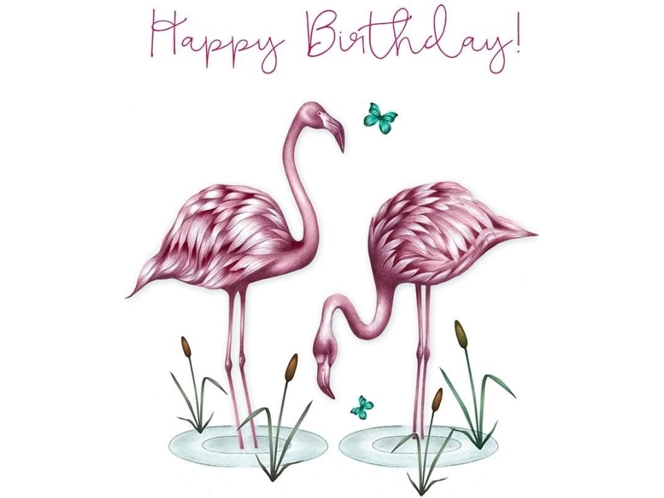Billede af Clear Creation Karnet Swarovski Kwadrat Cl0302 Urodziny Flamingi