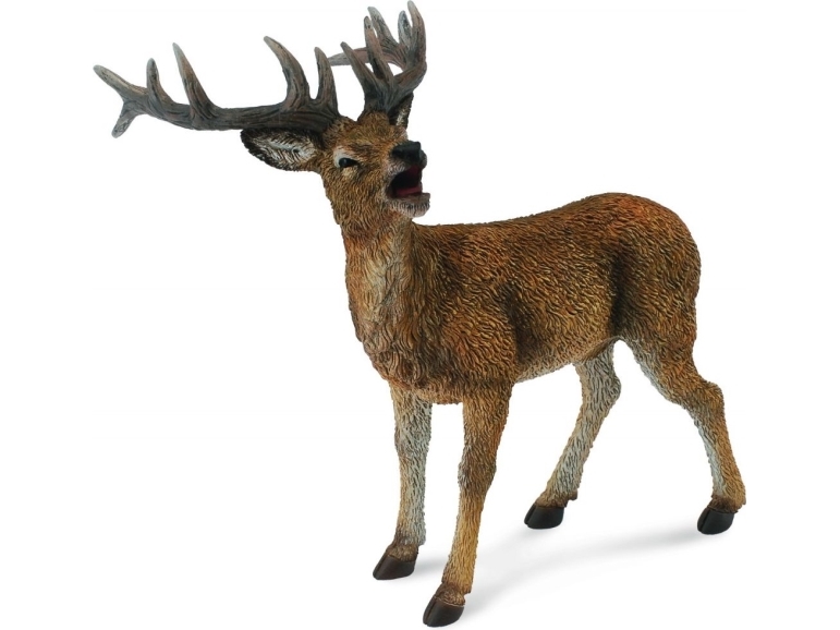 Stag Deer (L)