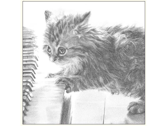 Billede af Da Vinci Picket Cat On The Piano Sketch 16X16 Cm + Envelope (B4d 224 003)