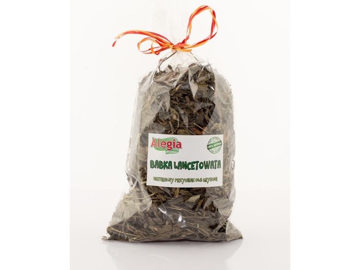 Alegia Lancetta Babka 100G