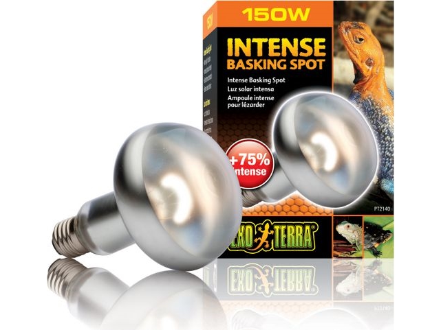 HAGEN EXOTERRA INTENSIV SPOT GLÖDLAMPA 150W | Sällskapsdjur - Fisk & reptiler | GameStuff
