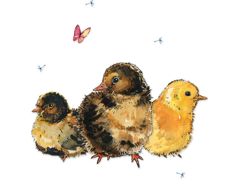 Clear Creation Swarovski kort firkant Kyllinger (CL1228)