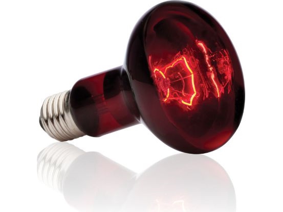 Hagen EXOTERRA ŻAR. INFRARED SPOT 50W