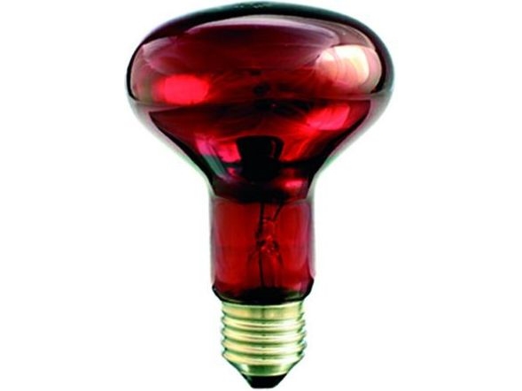 Helios infrarød varmelampe E27 75W 80 mm R-80 rubin til terrarium (PRO-1466)