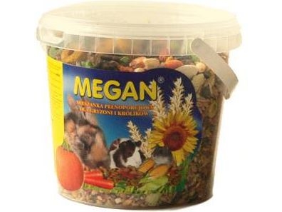 Megan Gnaver Blanding 10L