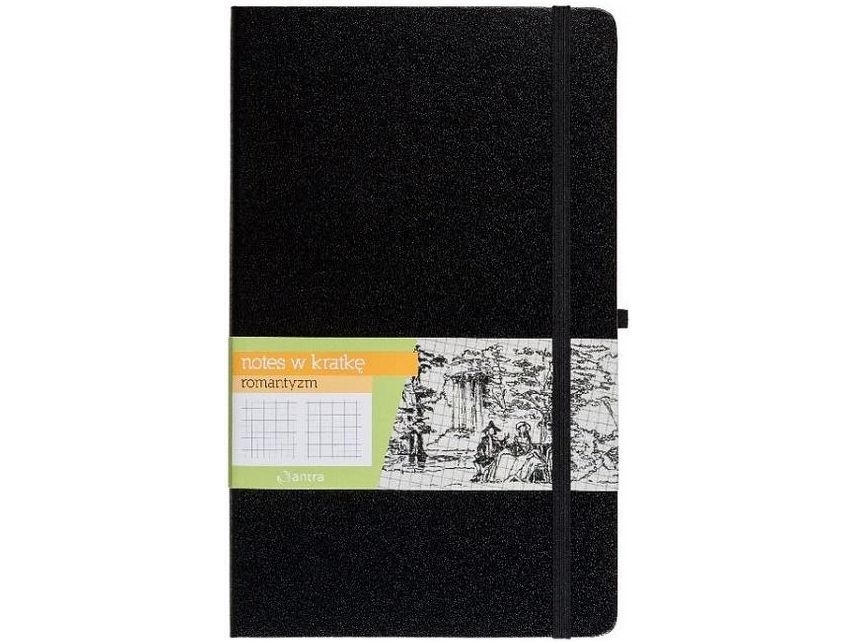 Antra Notizbuch A6 Raster Romantik Schwarz (254204)