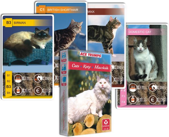 Karten Trumps Katzen