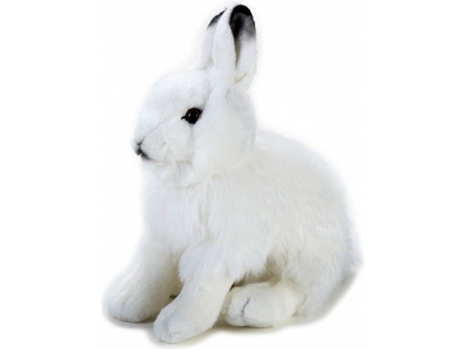 Dante Plüschtier National Geographic Weißer Polarbär 25 Cm (003-70725)