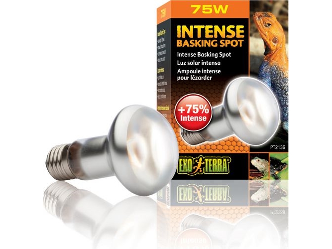 HAGEN EXOTERRA GLÖDLAMPA INTENSIV SPOT 75W | N - A | GameStuff