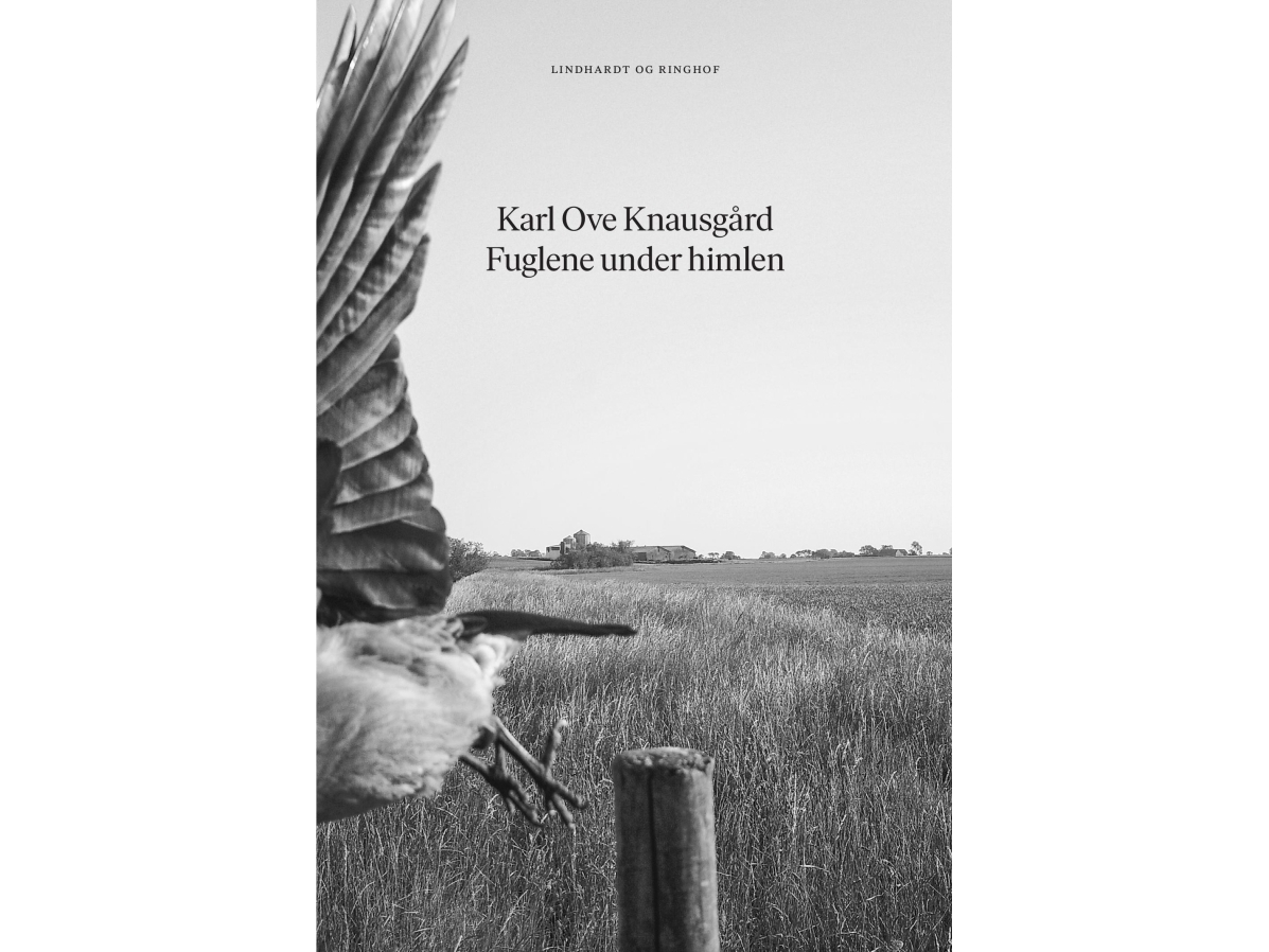 Fuglene Under Himlen | Karl Ove Knausgård