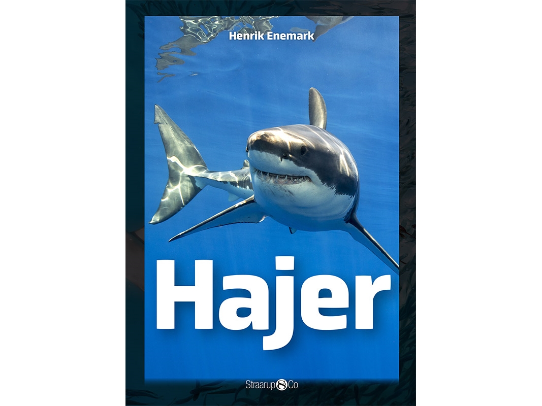 Hajer | Henrik Enemark