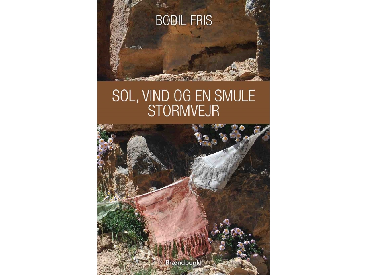 Sol, vind och lite storm Bodil Fris Språk: Danska | Böcker - Skönlitteratur - Dikter | GameStuff