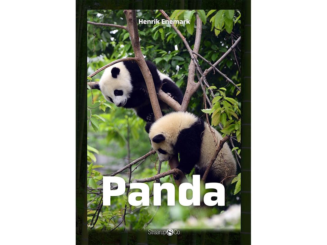 Panda | Henrik Enemark