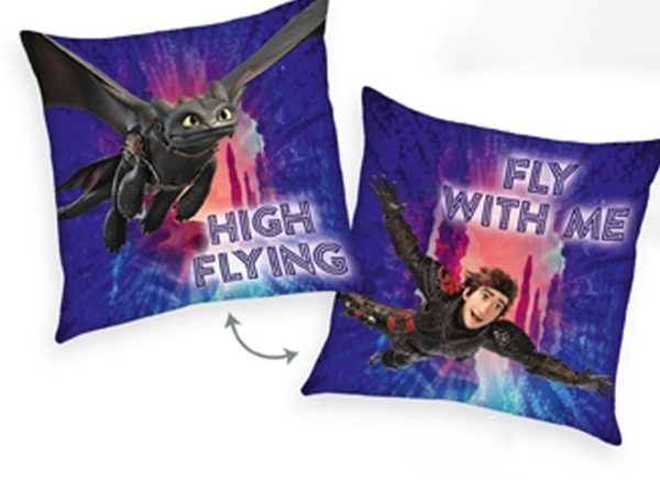 Wie Man Seinen Drachen ''Best Flying Friends'' Trainiert Kissen