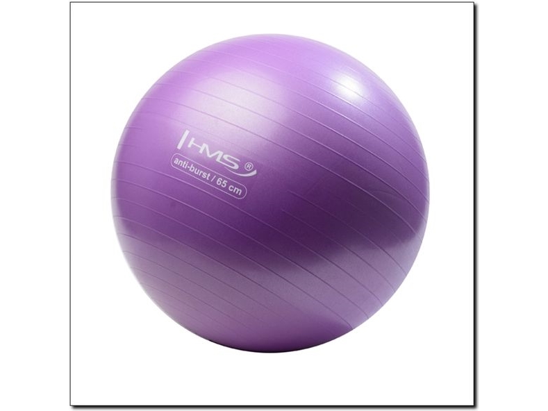 Hms Anti-Burst Gymnastikball 65Cm Lila (Yb02)