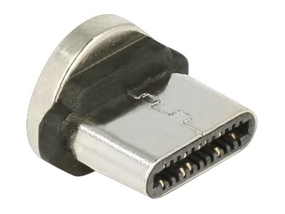 Delock Magnetic - Usb-Konnektor - Usb-C (Han)
