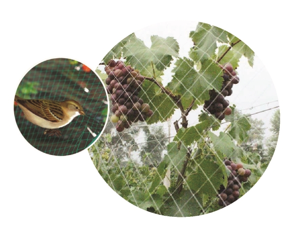 Green>it® fuglenet 15×15 mm x 4×5 meter | Trädgården - Trädgårdstillbehör | GameStuff