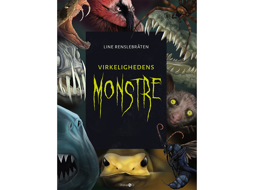 Virkelighedens Monstre | Line Renslebråten