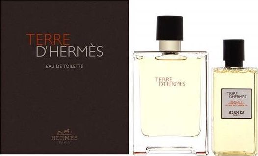 Hermès Terre D'hermès Geschenkset Eau De Toilette Spray 100 Ml + Duschgel 80 Ml